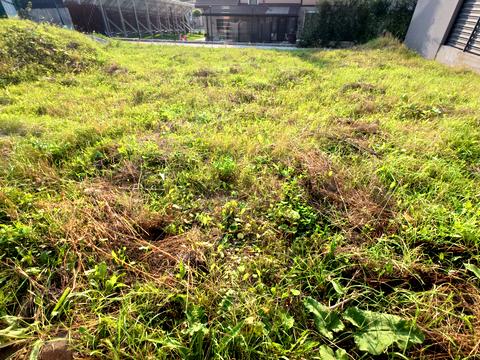 будинок за адресою Шостаковича