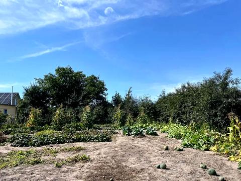 дом по адресу Шкільна, 27