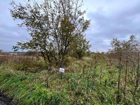 участок по адресу Гонты ул., 111