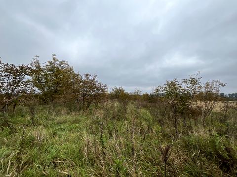 участок по адресу Гонты ул., 111