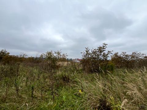 участок по адресу Гонты ул., 111