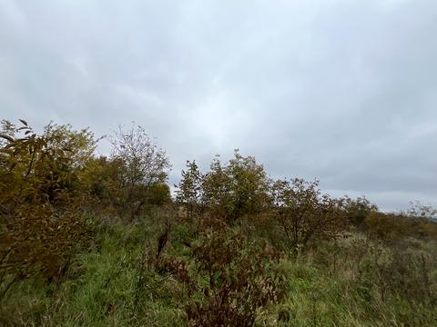 участок по адресу Гонты ул., 111