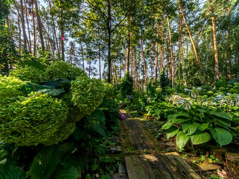 будинок за адресою Центральна, 17