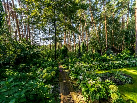 будинок за адресою Центральна, 17