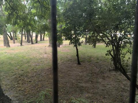 квартира за адресою Алішера Навої просп., 67