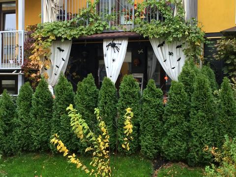 квартира по адресу Івана Кавалерідзе ул., 5