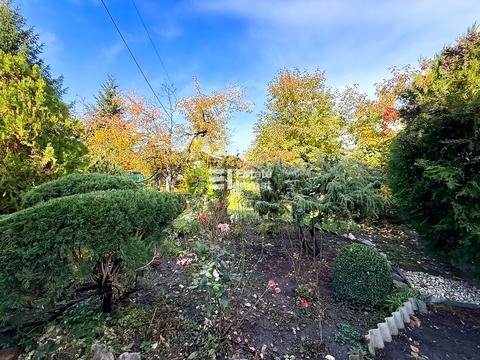 комната по адресу Аптекарский пер., 24