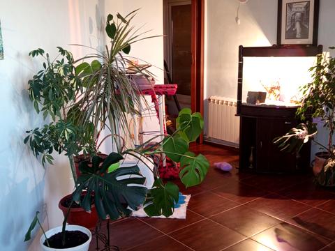 квартира по адресу Академика Сахарова ул., 36