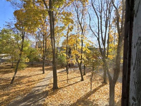 квартира по адресу Тополь-1 жилой массив ул., 15