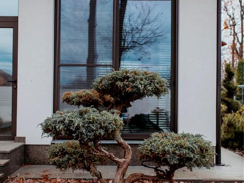 дом по адресу Киево-Мироцкая ул.