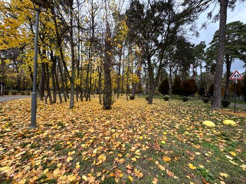 квартира по адресу Новое ул., 8-Б