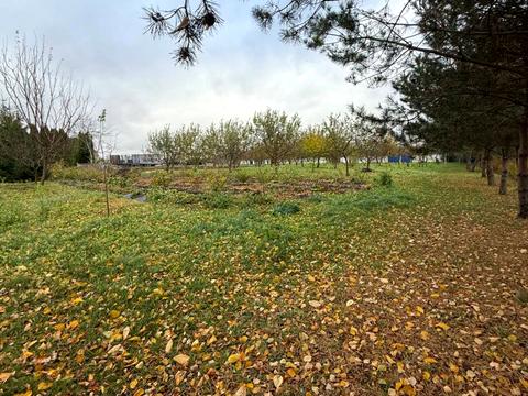 коммерческая по адресу Львівська, 39