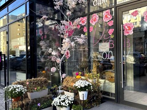 коммерческая по адресу Левка Лукьяненко ул. (Маршала Тимошенко), 21