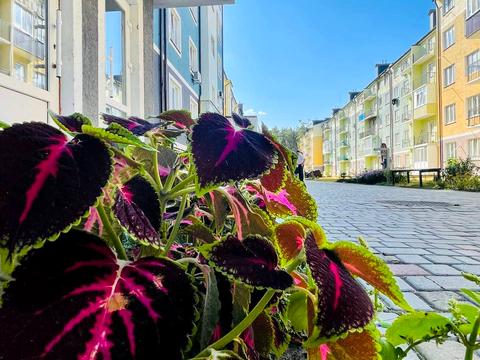 квартира за адресою Білокур вул. (Курська), 4-А, 4-Б, 4-В, 4-Г