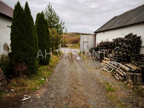 комерційна за адресою Вознесенська, 2б