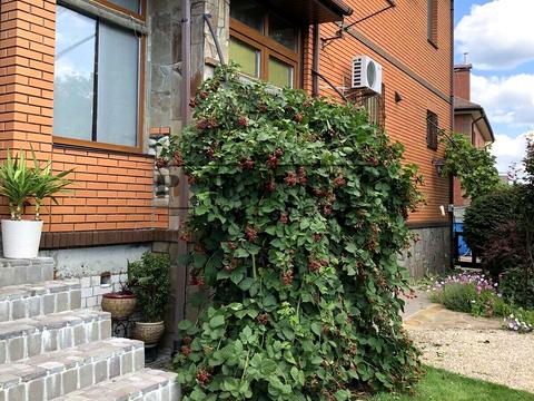 будинок за адресою Вірності, 33