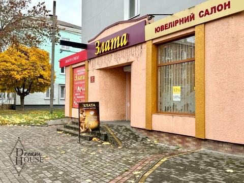 коммерческая по адресу Дружбы просп., 10