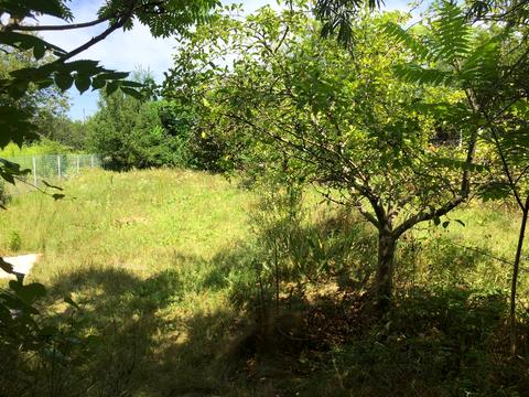 будинок за адресою с. Черніїв, Надвірнянська вул.