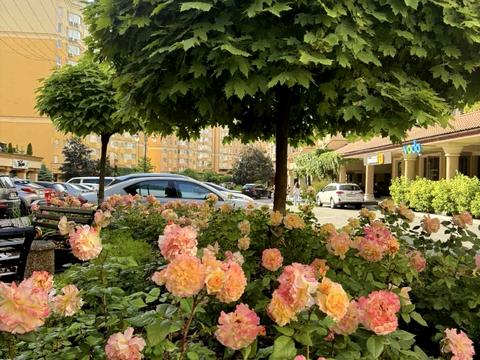 квартира за адресою Боголюбова вул., 24