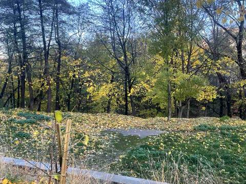 квартира за адресою Джорджа Вашингтона вул. (Батальна), 17