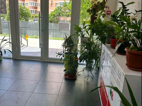 квартира по адресу Школьная ул., 43