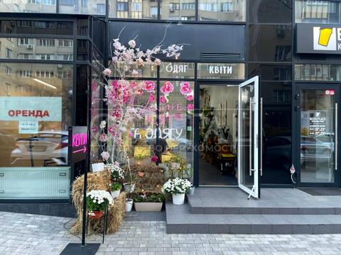 комерційна за адресою Левка Лук'яненка вул. (Маршала Тимошенка), 21к2