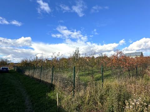 участок по адресу 