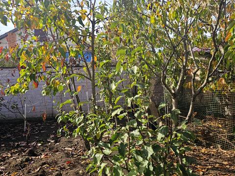 будинок за адресою смт. Великодолинське, Маріїнська вул., 1