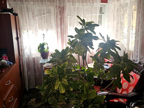 будинок за адресою смт. Великодолинське, Маріїнська вул., 1