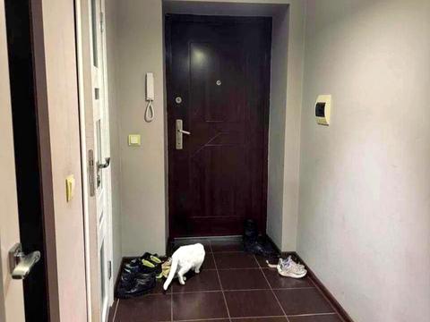 квартира за адресою Розточчя вул., 168