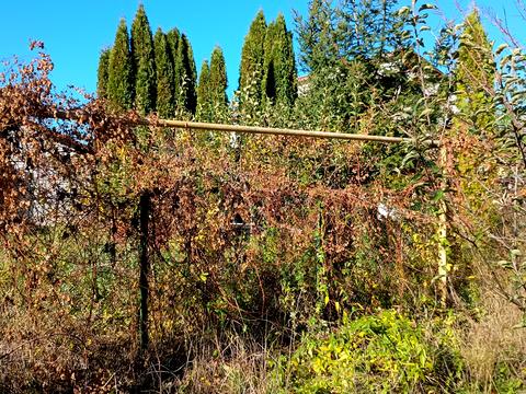 участок по адресу Масив Поляна