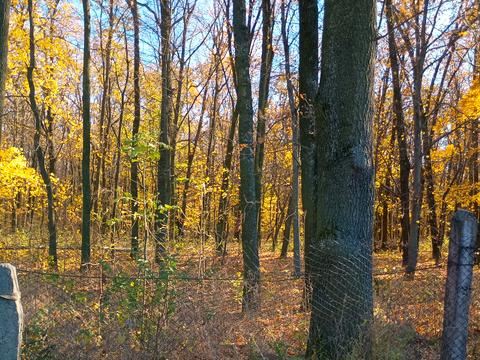 участок по адресу Масив Поляна