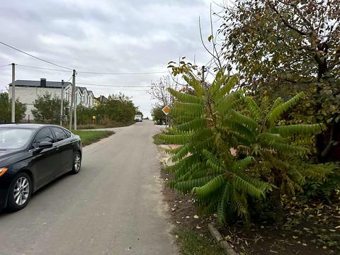 будинок за адресою Сологуба вул., 40