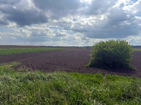 участок по адресу 