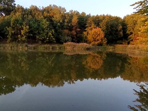 будинок за адресою Столична вул.