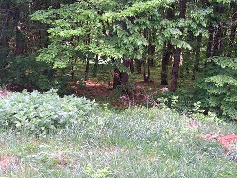 будинок за адресою Столична вул.