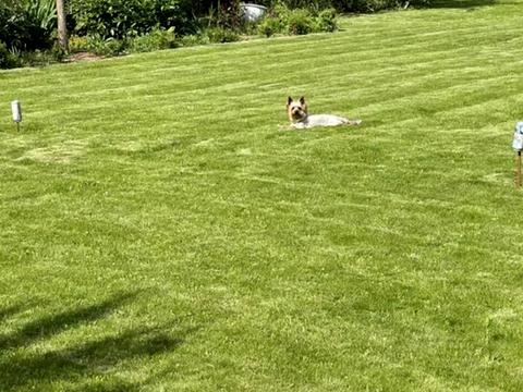 будинок за адресою Свято-Покровська вул. (Леніна)