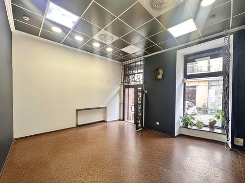 комерційна за адресою Модеста Менцинського вул., 7