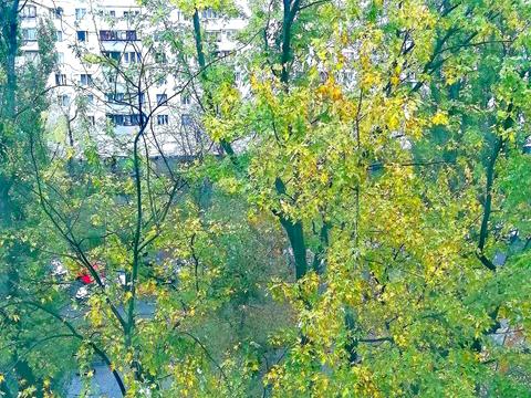 квартира за адресою Ігоря Шамо бульв. (Олексія Давидова), 7