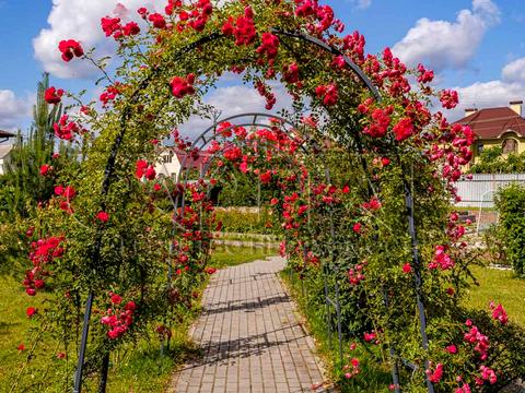 дом по адресу Шевченко ул.