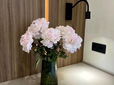 квартира за адресою Євгена Коновальця вул., 37