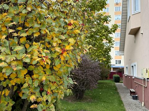 дом по адресу Богдана Хмельницкого ул., 16