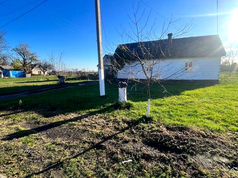 будинок за адресою Відродження, 1