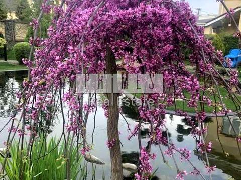 будинок за адресою Київська вул.