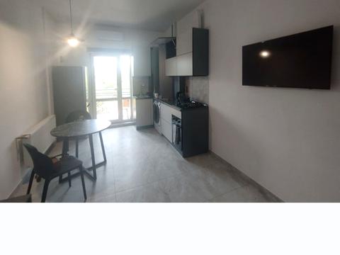 квартира по адресу Дача Ковалевского ул., 91