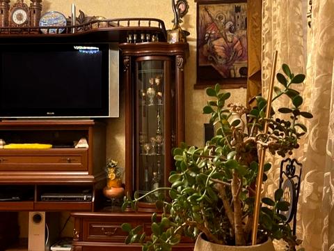 квартира за адресою Деревлянська вул. (Якіра), 20/2