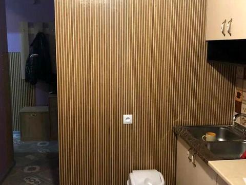 квартира по адресу Окуневского ул., 1