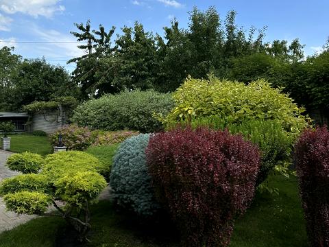 будинок за адресою Сонячна