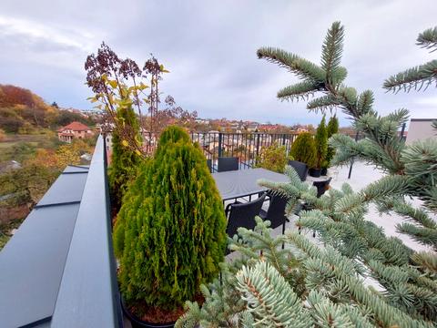 квартира за адресою Петра Лодія вул., 6