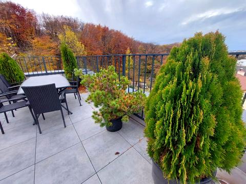 квартира за адресою Петра Лодія вул., 6